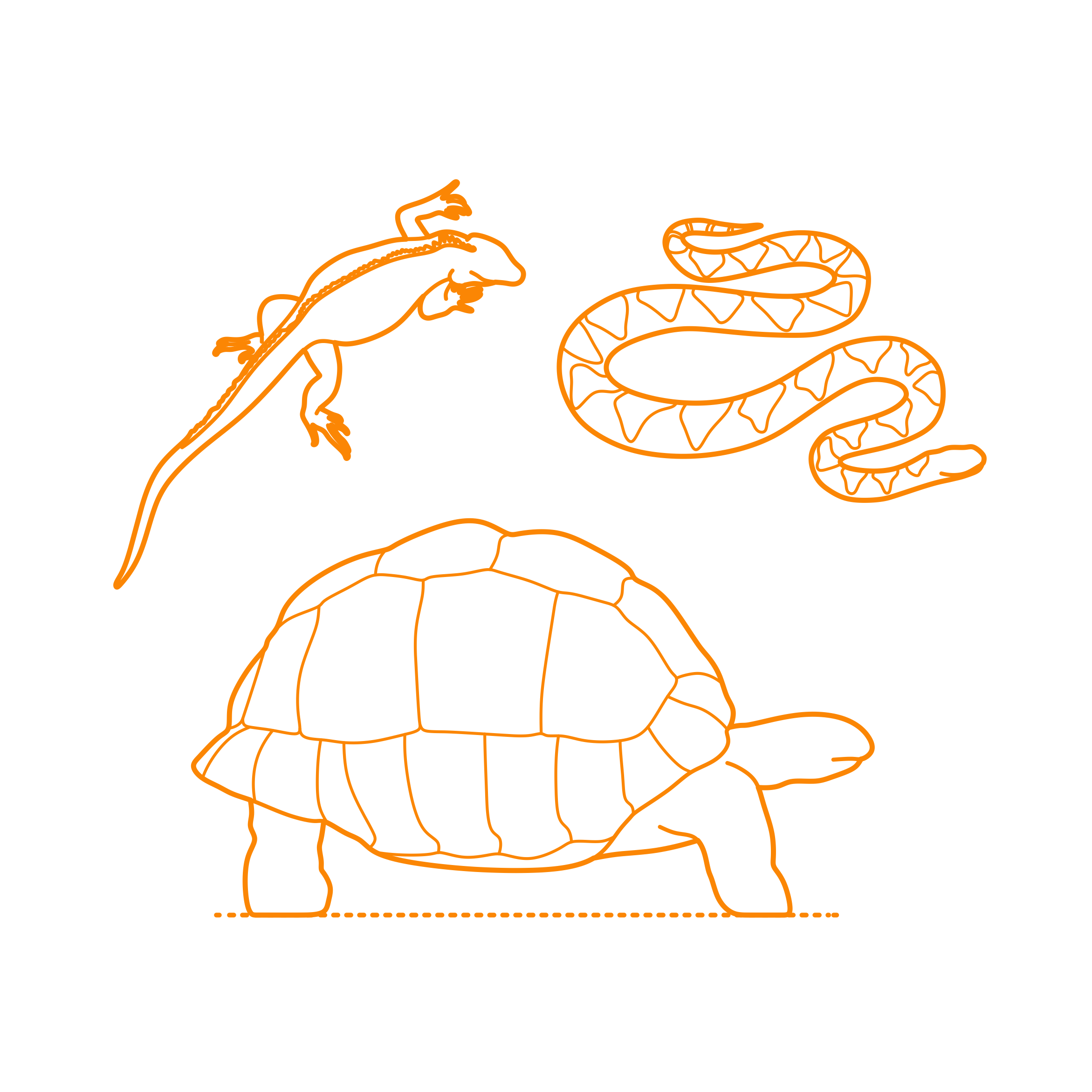 Animals Reptiles Outline Svg Vector Free Vectors